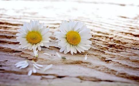 候与侯的区别 候和侯有何不同