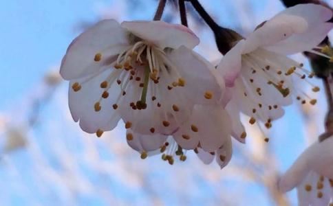 概率论抽签问题,概率论中的抽签原理