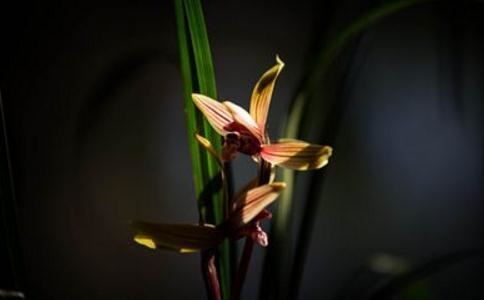 办公室坐靠近门口的位置好吗