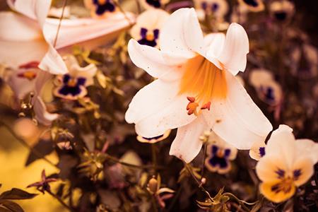 摩羯座的三个贵人如何利用他们的力量实现共同进步？