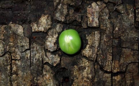 华字用于人名吉凶