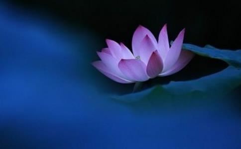 国学经典与人生修养的关系