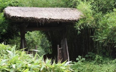 八字诀窍，兄弟决断