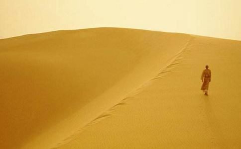 财气爆棚、聪明、人气旺的人有哪些