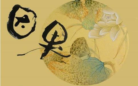 六十甲子系列丨丁巳日出生的人命运如何？#国学