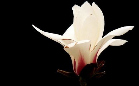 快手名字女孩霸气有范儿