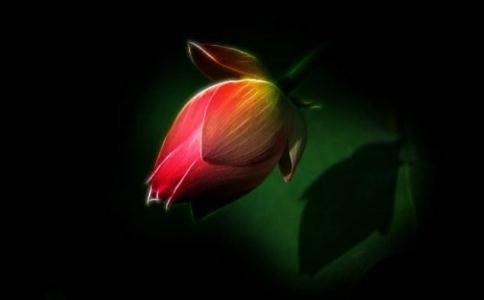 婚纱是男方买还是女方买 婚纱由谁买