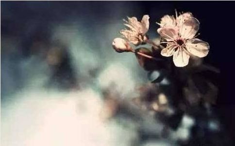 锁骨有痣的女人 女生锁骨痣有何寓意