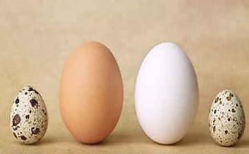 办公室风水 怎样布置办公室的风水最好