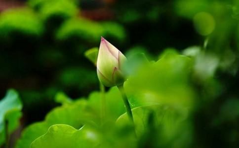 661干这个字为什么有两个似乎不相关的读音和含义？