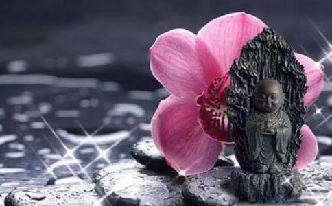 姓宋猪宝宝男孩名字怎么起？猪宝宝起名有何禁忌？