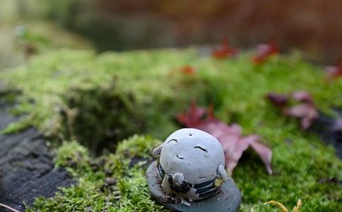 打造人气旺铺，从选择一个聚人气财气的名字开始