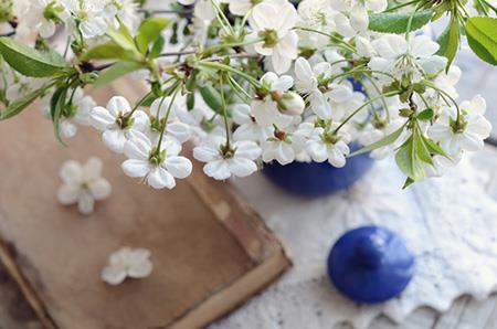 佛意古韵的名字 佛意古韵是什么意思