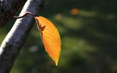 给宝宝起名字性卓女