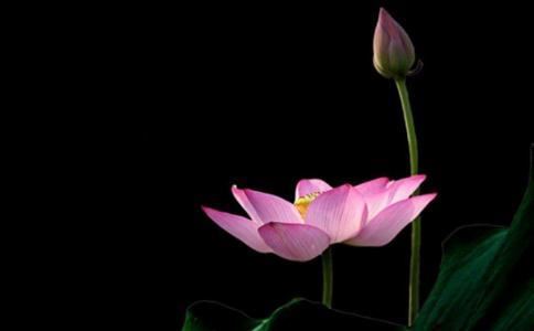 老板办公室要注意的风水问题 老板办公室应该注意哪些风水问题