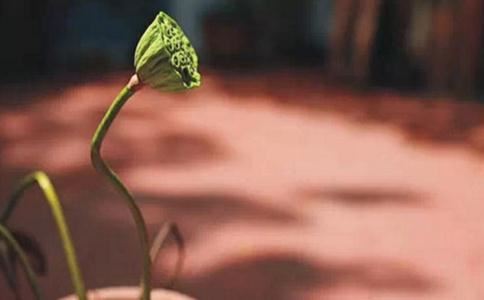 发晶是天然的水晶吗 发晶是天然水晶吗