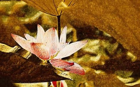 中元节和清明节的区别在哪？