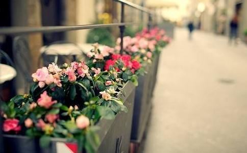 乾卦飞龙在天姻缘 乾卦 飞龙在天？