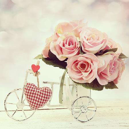 蓬莱的生肖指什么动物,蓬莱指什么意思