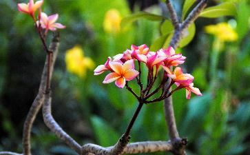 曾仕强讲解八字断命运