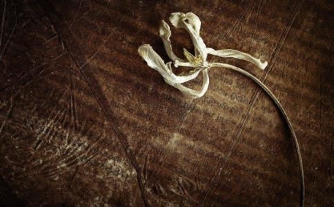 周易大学app  周易大学堂八字排盘app