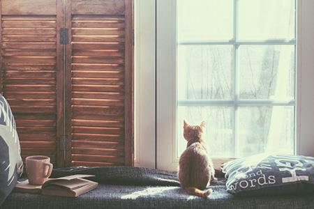 小清新饰品店铺名字 创意有个性的店名解析