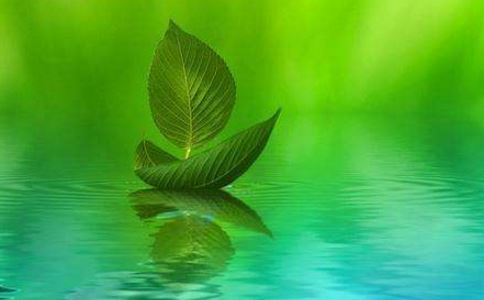 2024年属鼠的阎姓男宝宝起名大全