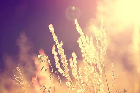 适合朗读的国学经典