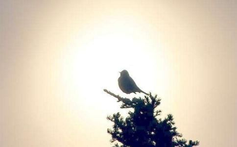 长生十二宫详解