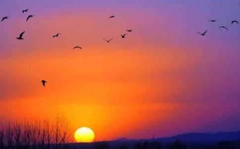 八字命理五行 八字五行有何作用