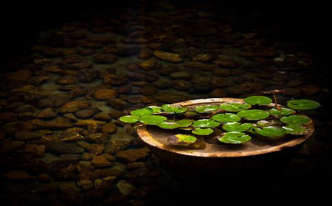 超准灵签测婚姻财运