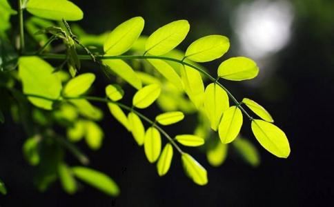 喉咙长痣的女人会越来越富吗