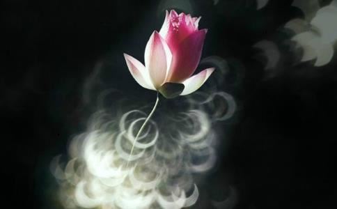 钥匙扣挂什么东西最招财  女人钥匙扣挂什么东西最招财