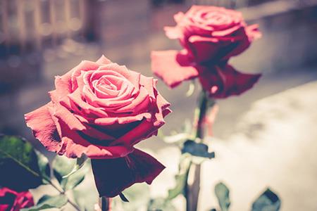 廉贞七杀在官禄宫的突破是什么意思