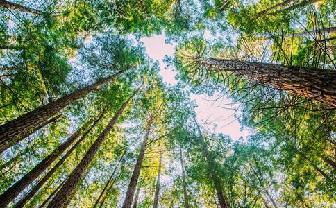 古色古香的奶茶店名字 要简单好记